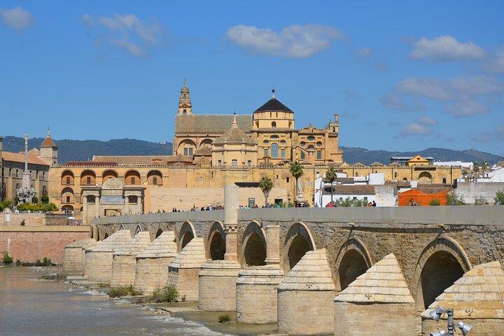 Excursion d'une journée à Cordoue au départ de Madrid en train