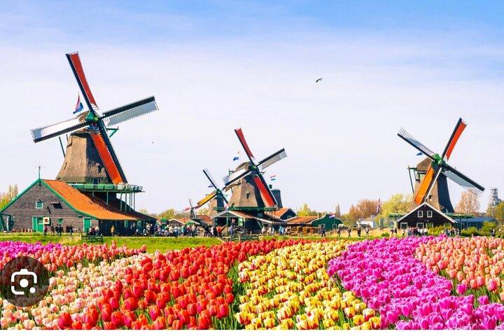 Moulins à vent Visite de campagne Zaanse Schans-Cheesefactory-Volendam