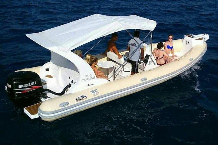 Dolphin trip with private speedboat and snorkeling