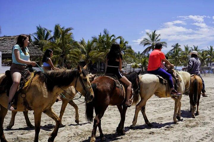 Stadstour & strandclub All Inclusive W Paardrijden & watersporten