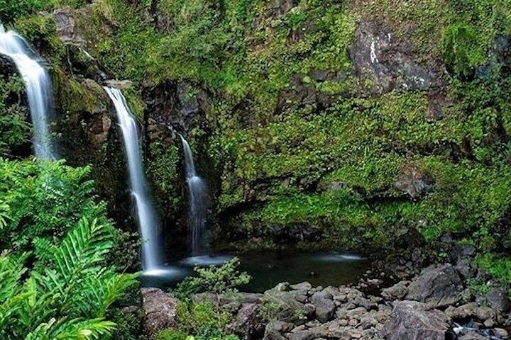 オアフ島発、ハナへの道デラックス熱帯雨林&滝体験