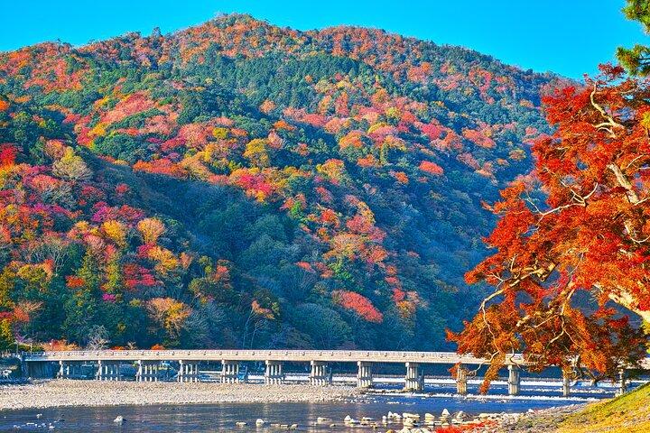 Kyoto Arashiyama: Efterår Foliage Walking Tour[redigér wikikode]