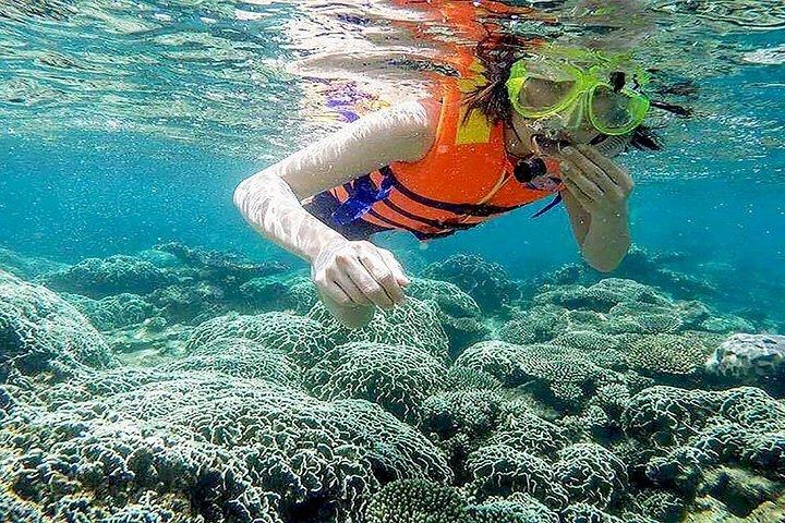 チャム島アドベンチャー：シュノーケリング、観光、シーフードセットメニュー