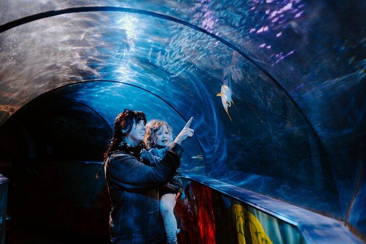 Billet d'entrée au SEA LIFE Weymouth