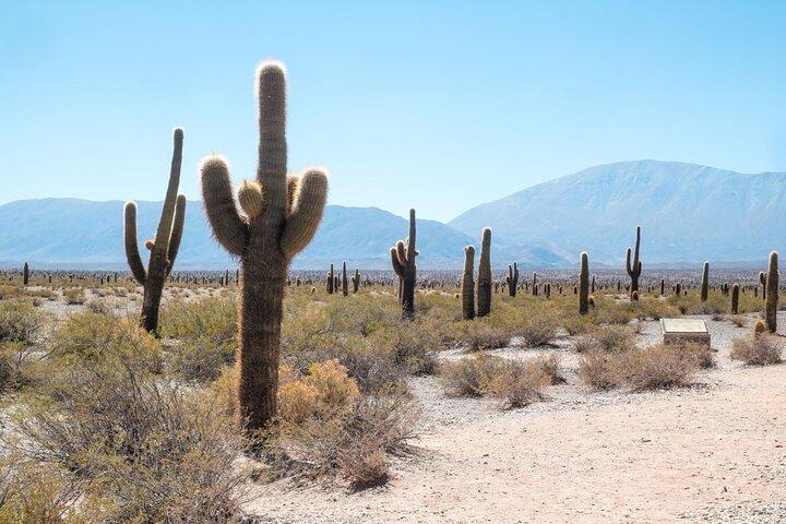 Multi Day Guided Tour in Salta with Roundtrip Transfer