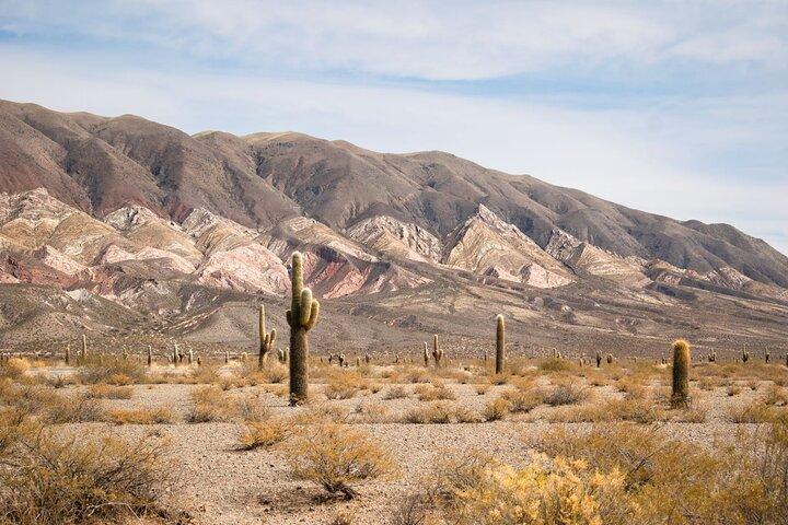Multi Day Guided Tour in Salta with Roundtrip Transfer