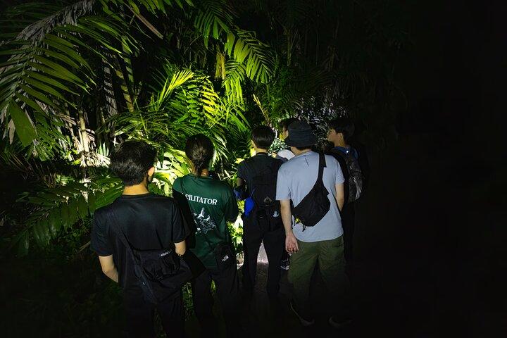 Esplora una foresta pluviale brulicante di fauna selvatica di notte!