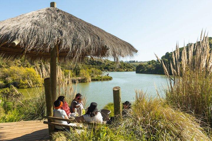 Parque Tricao full day - El aviario mas grande de LATAM