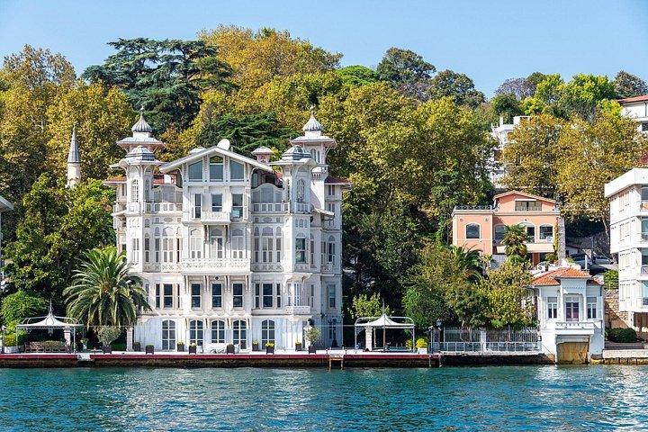 Istanbul Bosphorus Sightseeing Cruise and Mobile Audio Guide