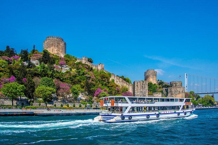 Istanbul Bosphorus Sightseeing Cruise and Mobile Audio Guide