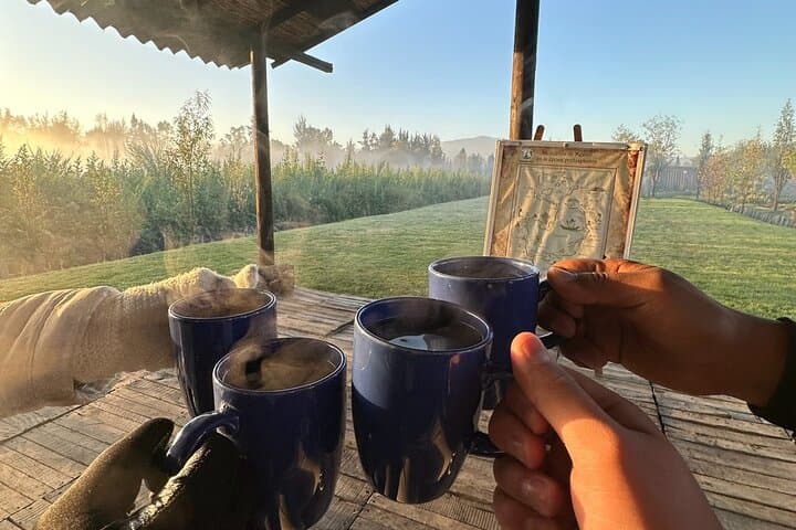Mexico City: Xochimilco at sunrise + Breakfast and transportation