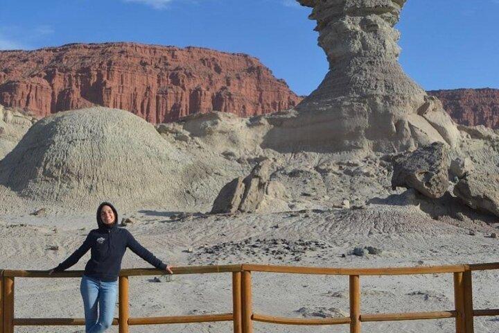 Passeio ao Parque Ischigualasto Aventura no Vale da Lua
