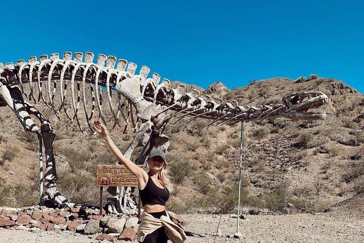 Passeio ao Parque Ischigualasto Aventura no Vale da Lua