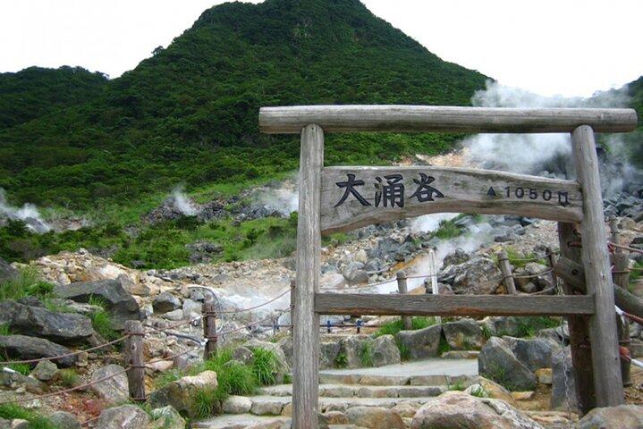 Mt Fuji Hakone Tour från Tokyo : Linbana och kryssningsalternativ