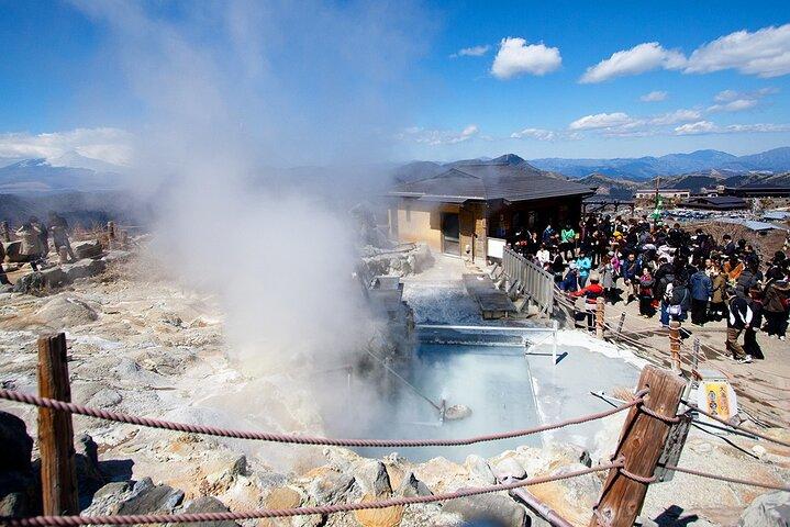 Mt Fuji Hakone Tour från Tokyo : Linbana och kryssningsalternativ