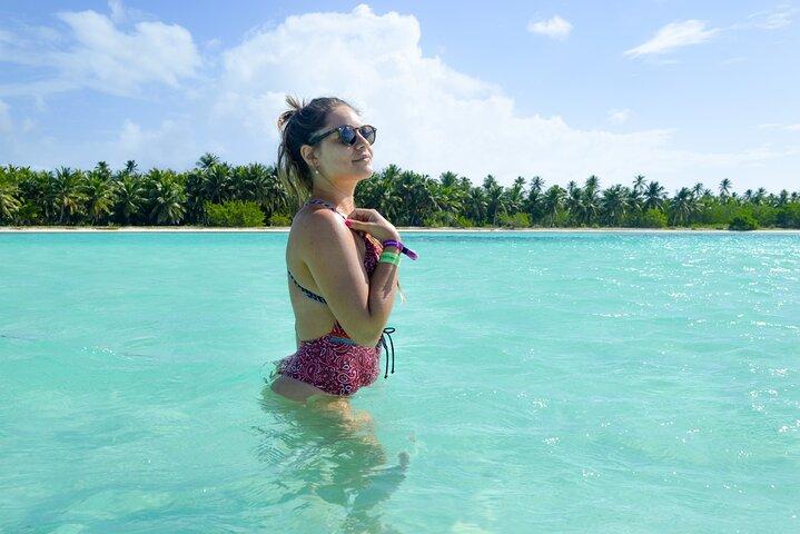 Isla Saona un Paraiso desde Punta Cana Tour Guiado Todo Incluido