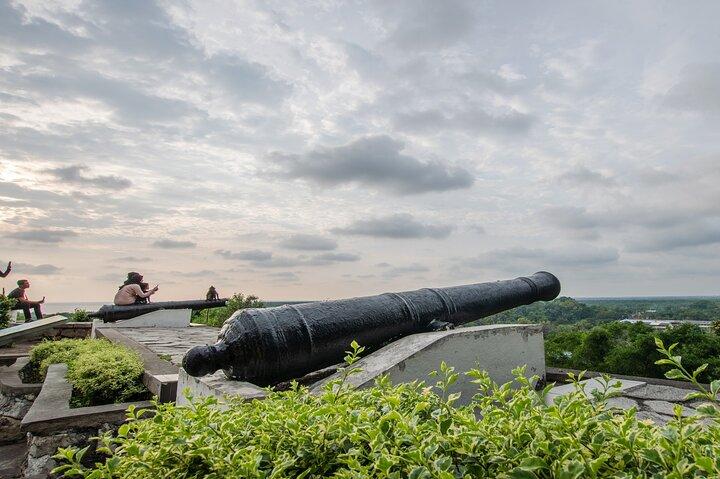 ブルーティアーズとシーフードディナー付きのプライベートホタルツアー