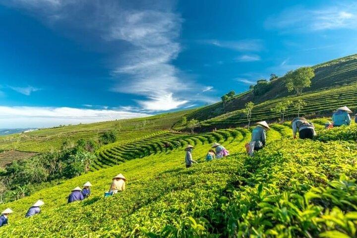 De Mui Ne à Da Lat Meilleure excursion privée d'une journée