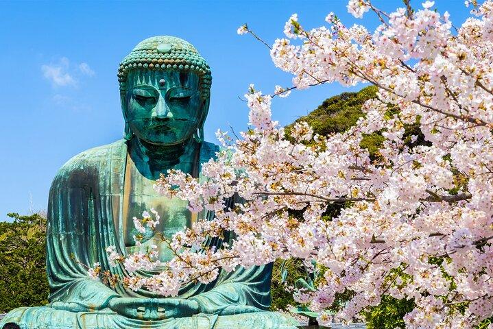 De Tóquio Kamakura, Santuário Hachimangu e Enoshima Excursão de dia inteiro