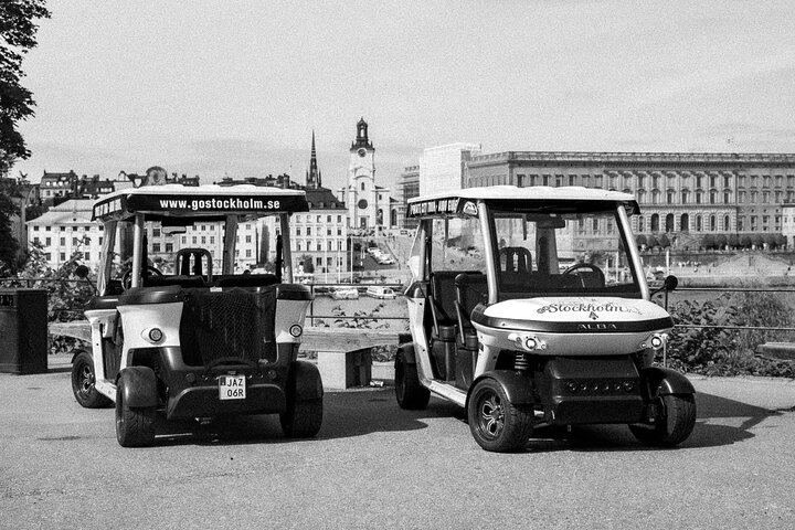 Stockholm Private Golf Panier Tours