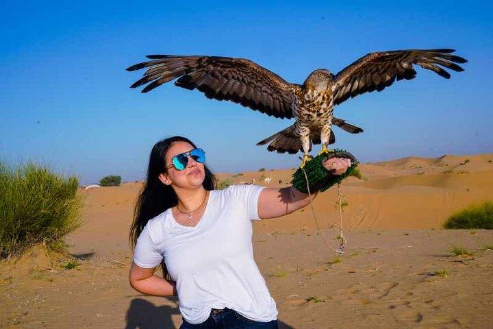 Safari VIP dans le désert avec Quad Biking Dubai