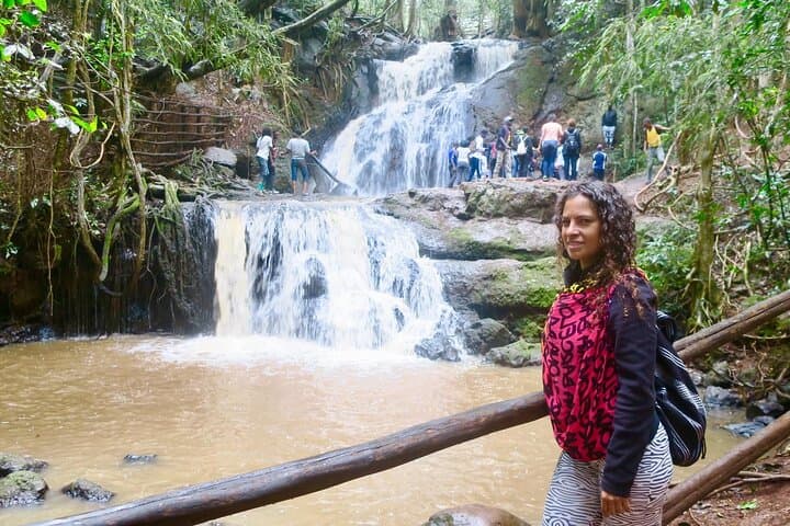 Karura Forest Nature Trail Day Tour