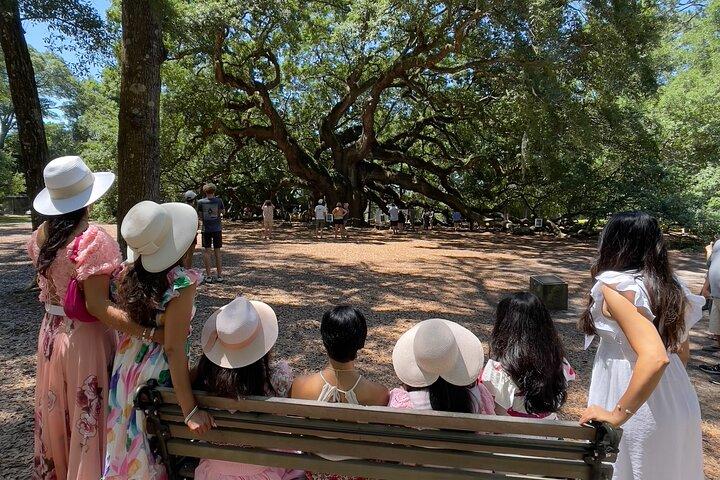 Wine Sippin'-Tea Drinkin'-Tree Huggin' Lowcountry Sightseeing