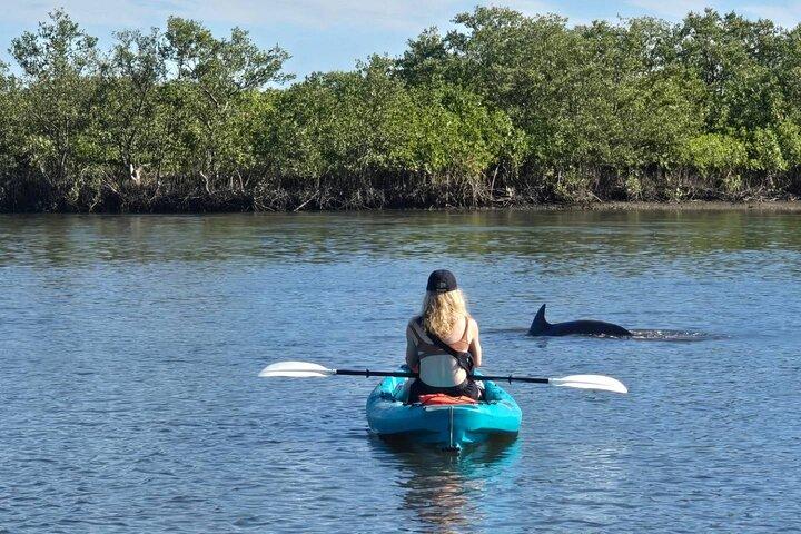 Dolphin and Manatee Adventure Tour of Sarasota with Olde Florida History!