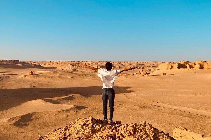 Private Safari Tour in Fayoum Oasis