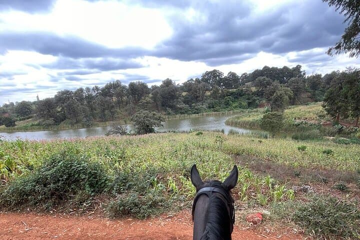 Nairobi Horseback Experience at Kitusuru Dam