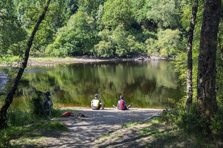 Crociera in piroscafo, dimostrazione di cani da pastore, passeggiata di foraggiamento, sentiero Trossachs