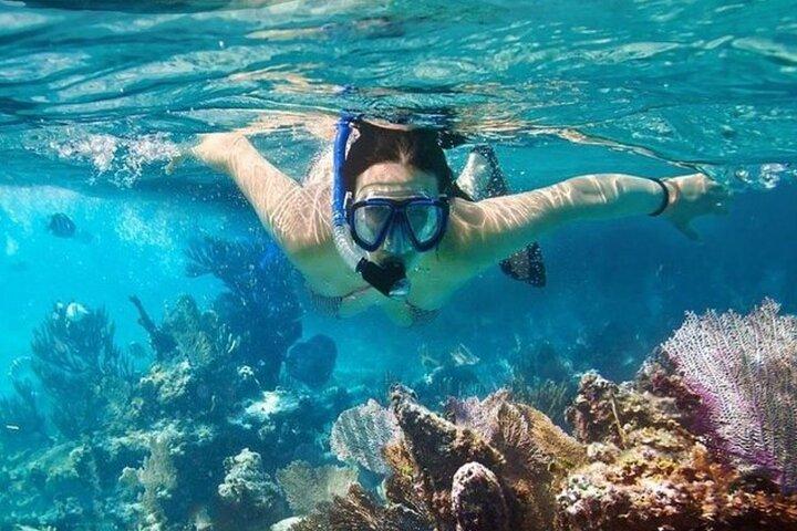 ムイネー：隠れた滝、ヴィンヒー湾シュノーケリング＆釣りの旅