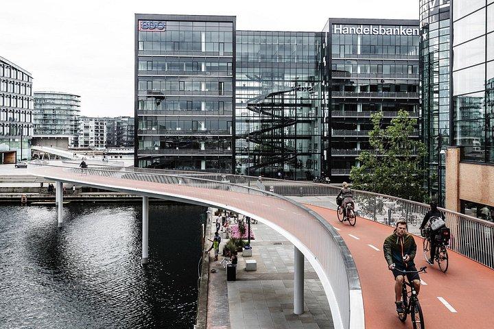 Copenhagen: Small Group E-bike Tour With Local Guide