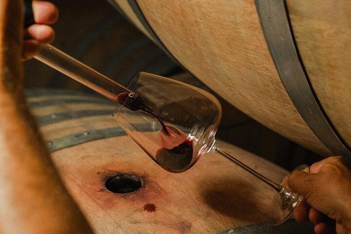 Backstage Brunello & Gourmet vin-matprovning i Montalcino