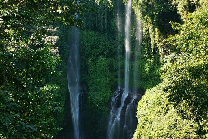 Noord Bali Sekumpul Waterval, Banyumala Waterval & Tempel Tour