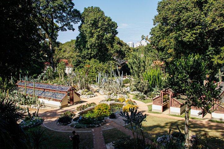 ジープングリーン: リオ植物園とティジュカ熱帯雨林ツアー