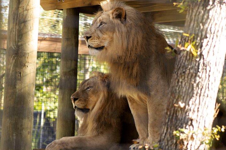 Ingresso generale allo zoo di Brevard