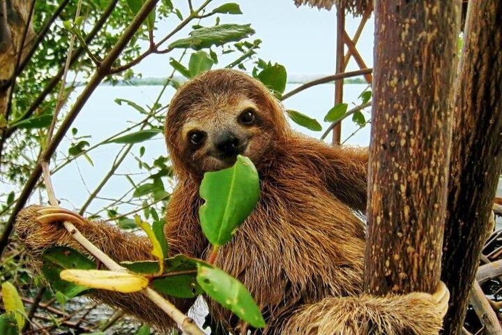 Arenal Inspirations Adventures in Nature Combo