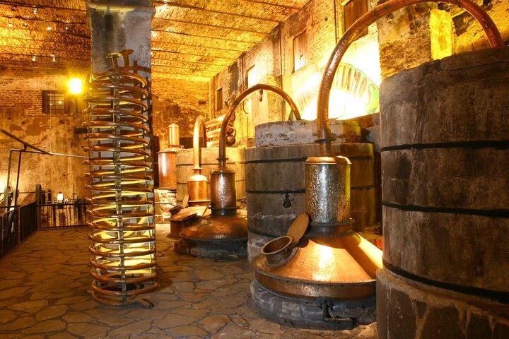 Eine einzigartige Tour! Besuch der Hacienda Casa herradura Von Guadalajara