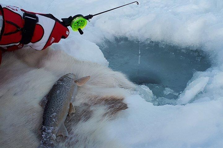 Sjursnes Arktisches Eisfischen-Abenteuer ab Tromsø