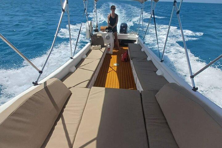 Croisière avec tuba de 4 heures vers les sculptures sous-marines avec des chiens de bateau