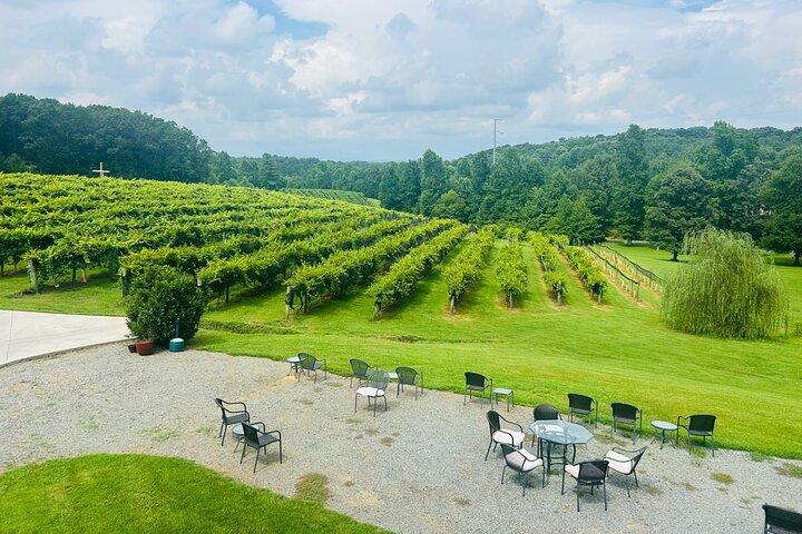 Elijay Three Vineyards privat vinsmagningstur fra Atlanta