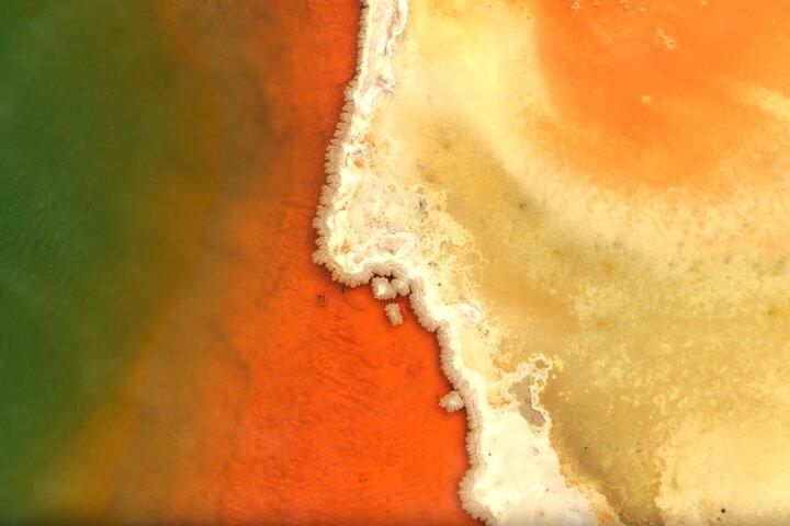 Auckland : WAI O TAPU Rotorua, Polynesian Spa & Blue Springs Tour