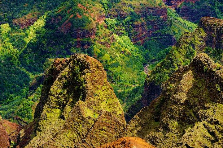 Heldags privat Kauai's Waimea Canyon og South Side Tour