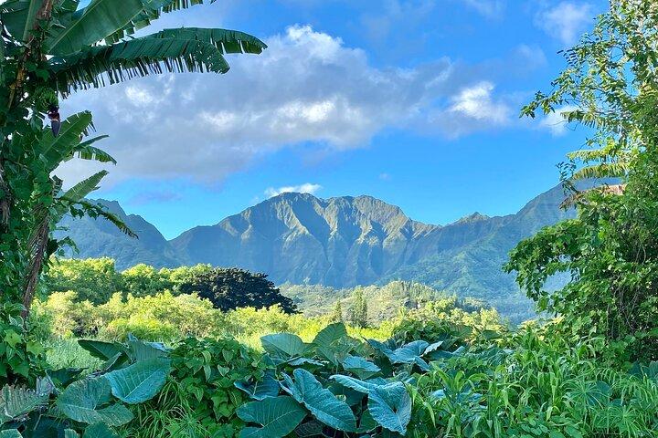 Heldags privat Kauai's Waimea Canyon og South Side Tour