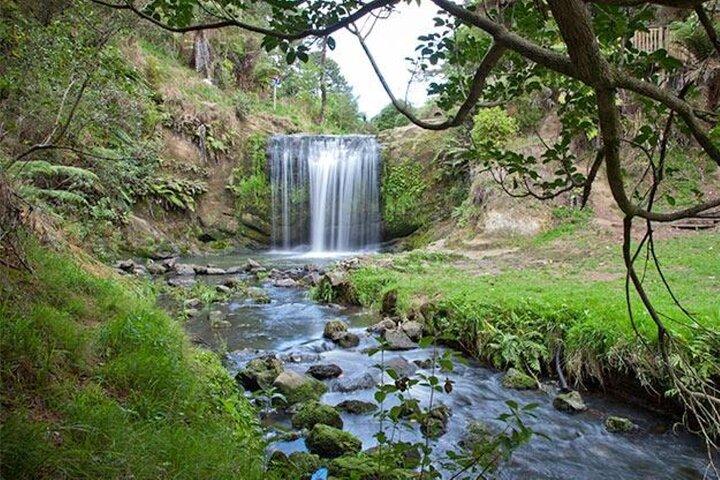Private VIP geführte Auckland Wasserfall Tour