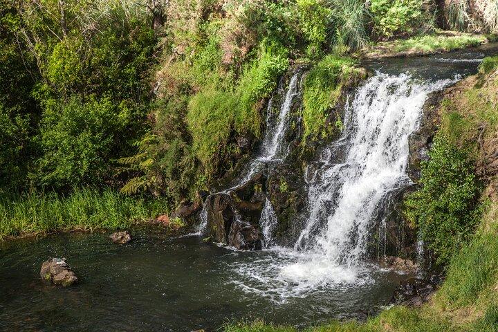 Private VIP geführte Auckland Wasserfall Tour