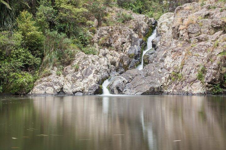 Private VIP geführte Auckland Wasserfall Tour