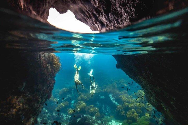 Plongée avec tuba guidée et exploration des îles à Auckland