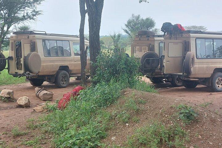 5 días de campamento en Tarangire Serengeti, cráter Ngorongoro y masai